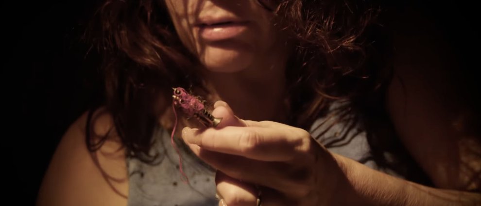 Religión en Libertad